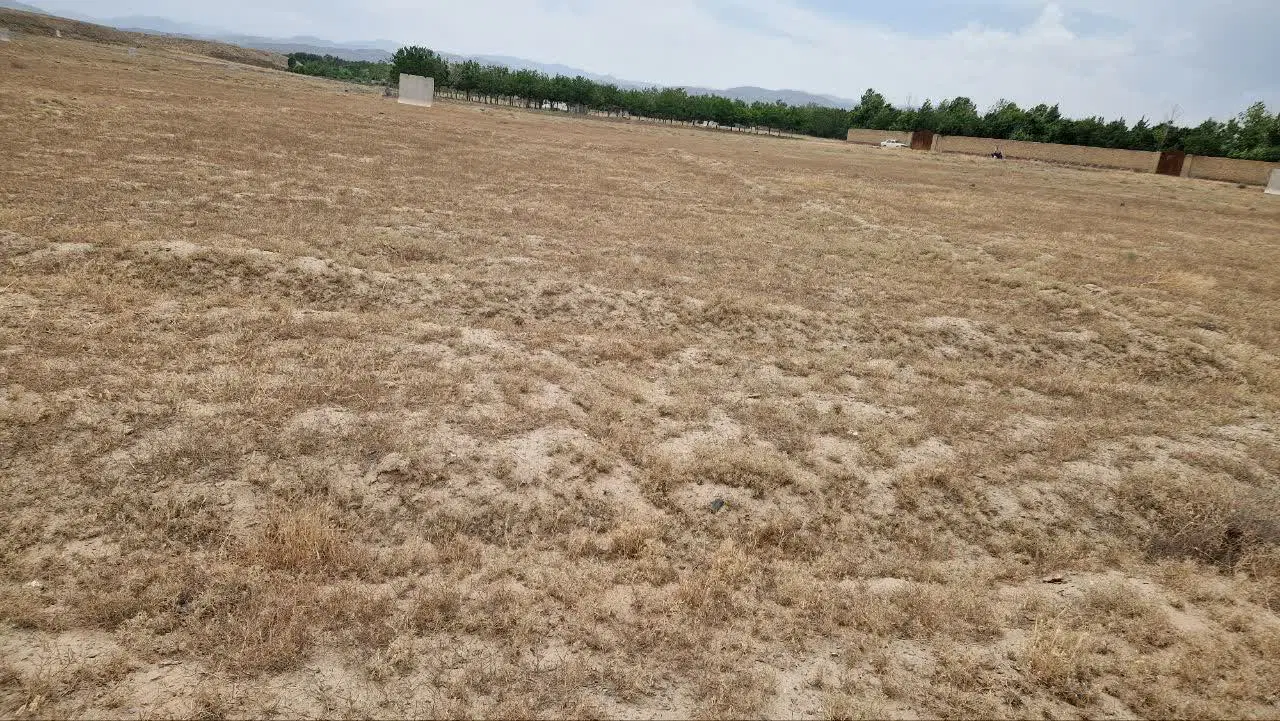 زمین باغی