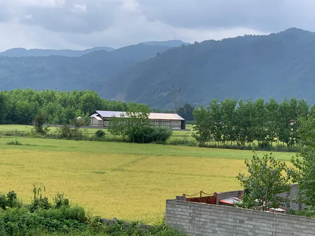 فروش خانه ویلایی