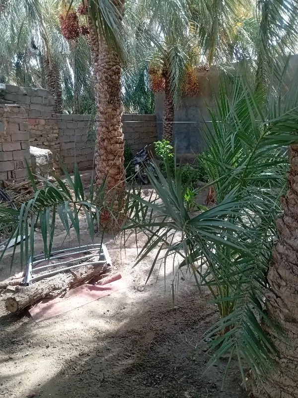 یه اتاق هیجده متری