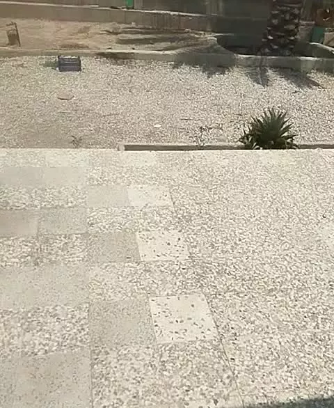 زمین مسکونی تک برگ