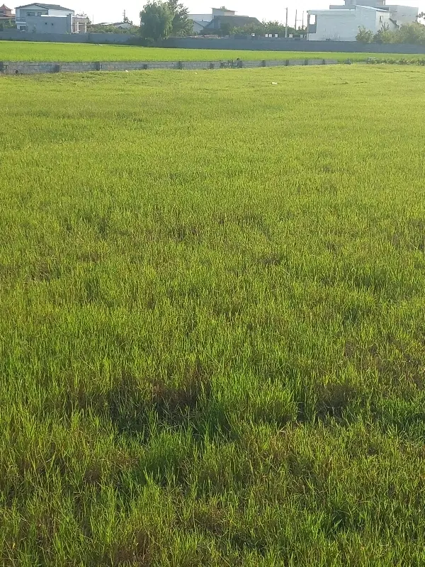 زمین۱۰۰متری قیمت مناسب