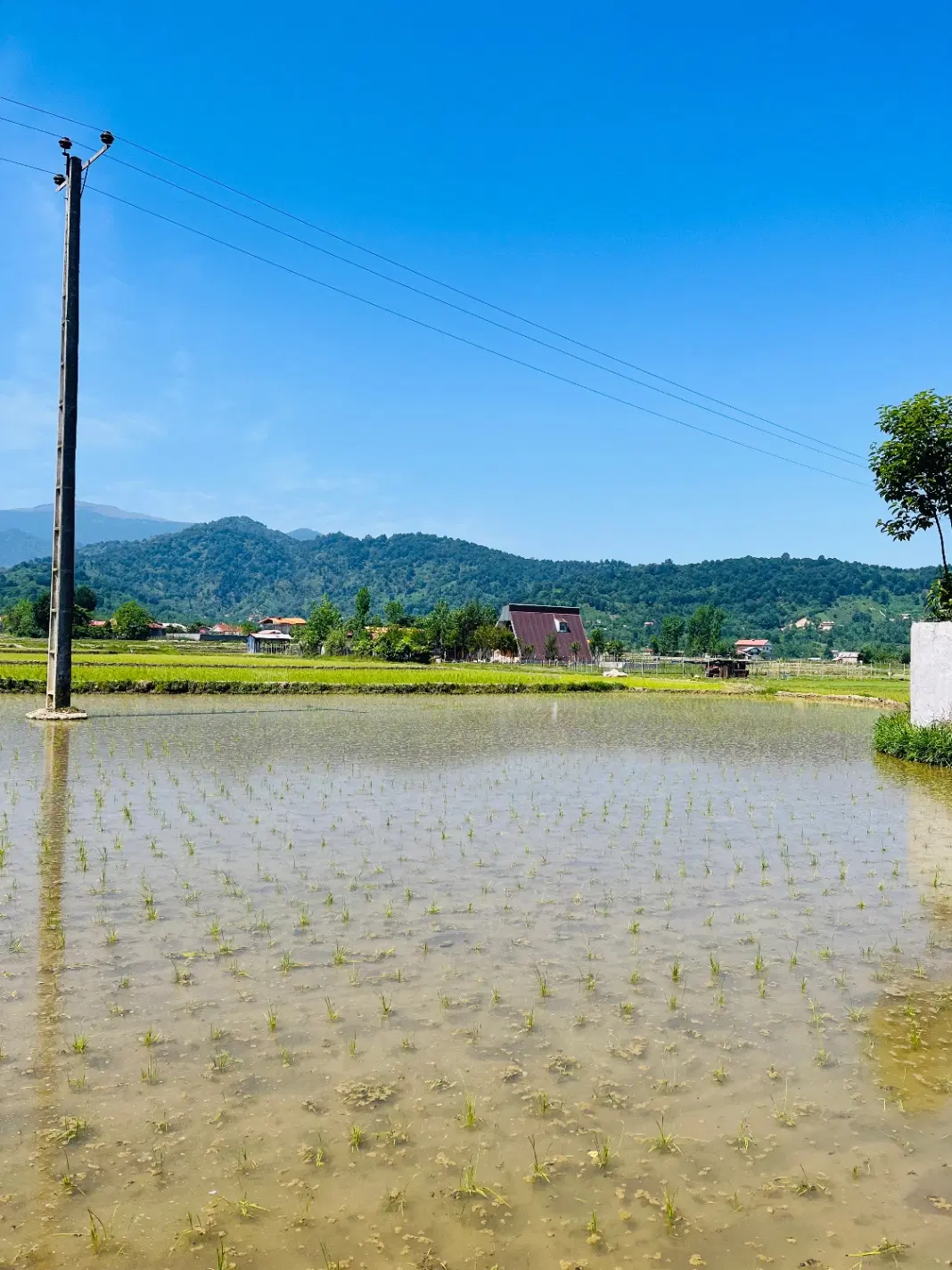 465متر زمین مسکونی کوهستانی