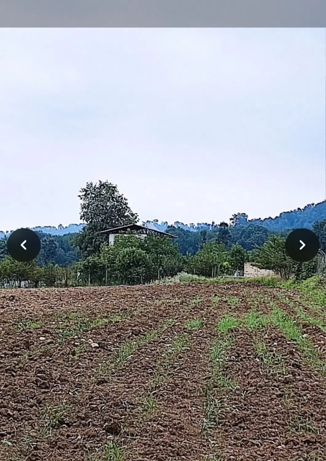 فروش زمین باغی روستای قرن اباد