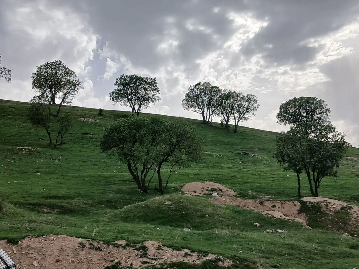 زمین کشاورزی