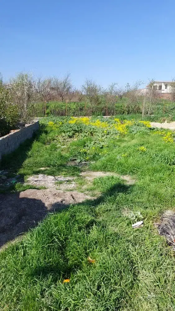 زمین مسکونی ویلایی داخل بافت