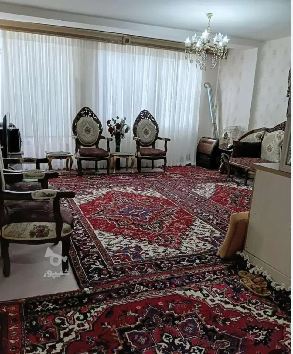 همخونه خانم تقریبا میانسال
