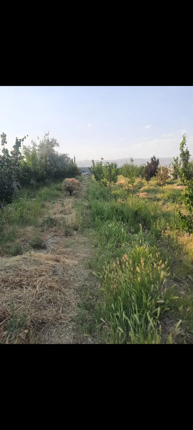 باغ روشت کوچک