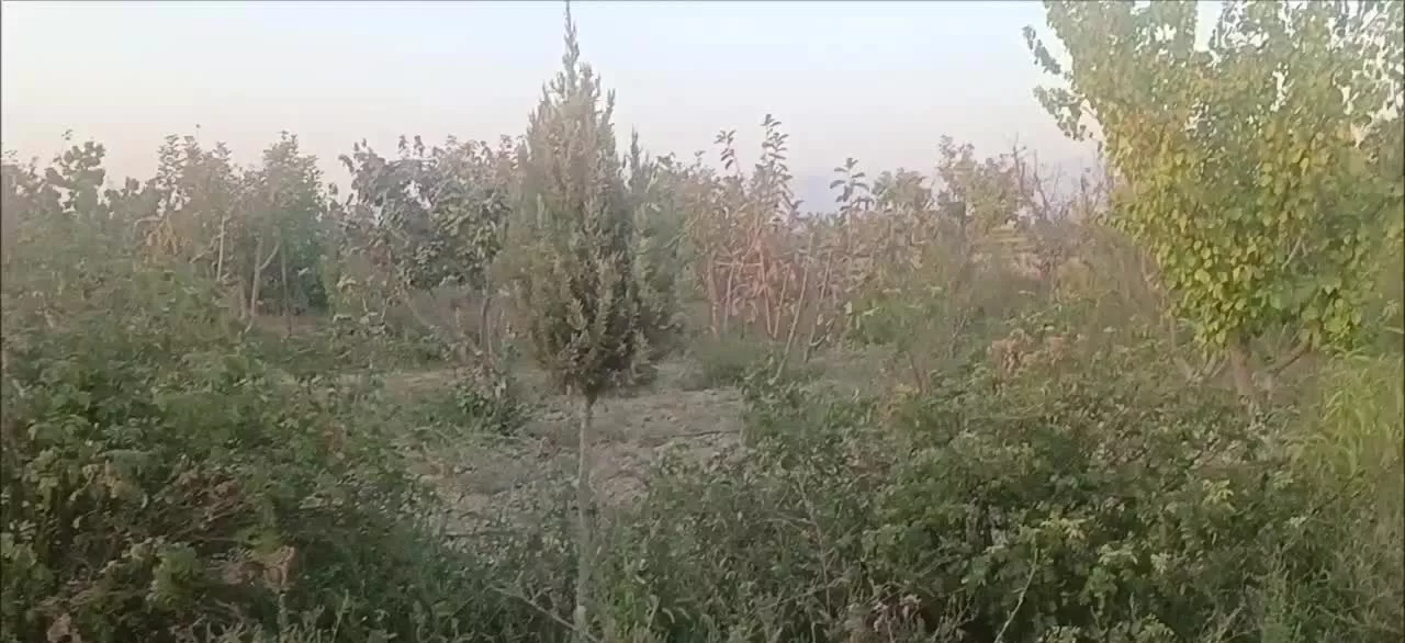 باغ ۱۲۰۰ متری نجم آباد  داخل کوچه باغ  بر اتوبان