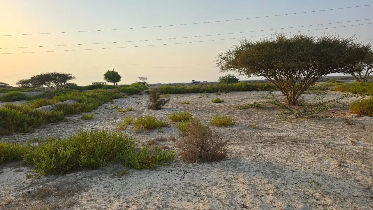 فروش زمین واقع در شهر درکو
