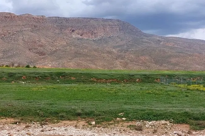 زمین کشاورزی با آب