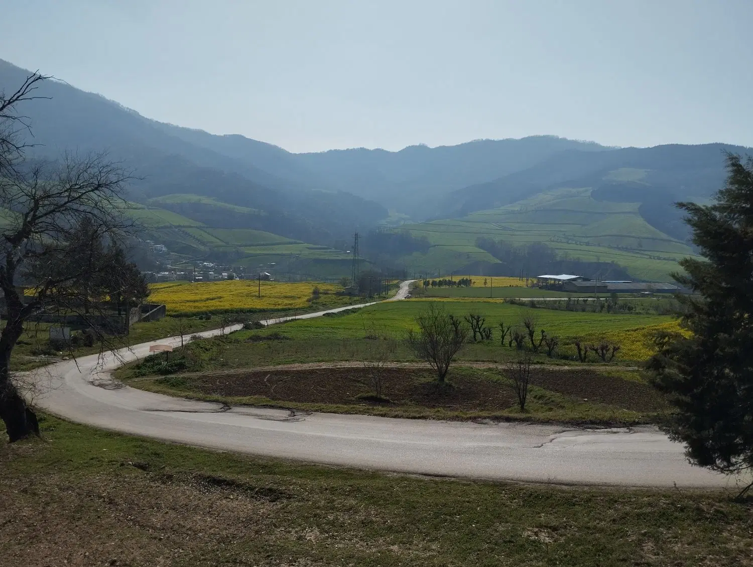 200متر زمین تو بافت روستای لیسه