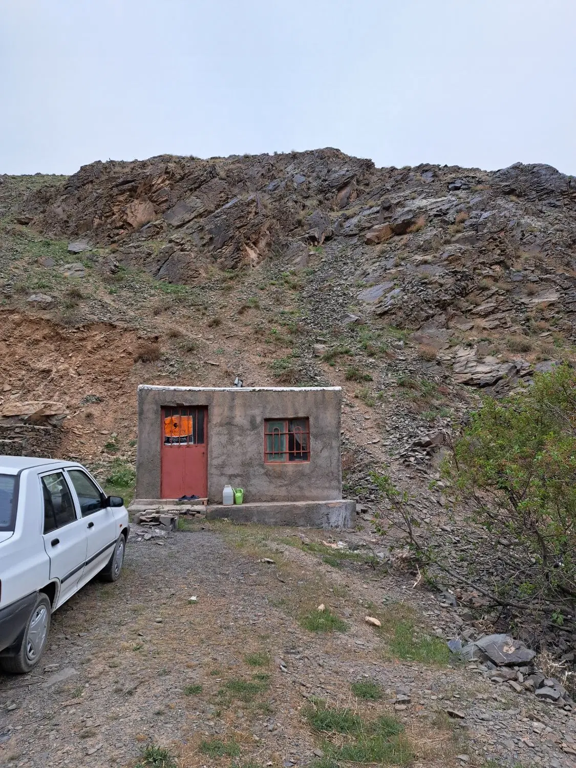 زمین زشک ۵