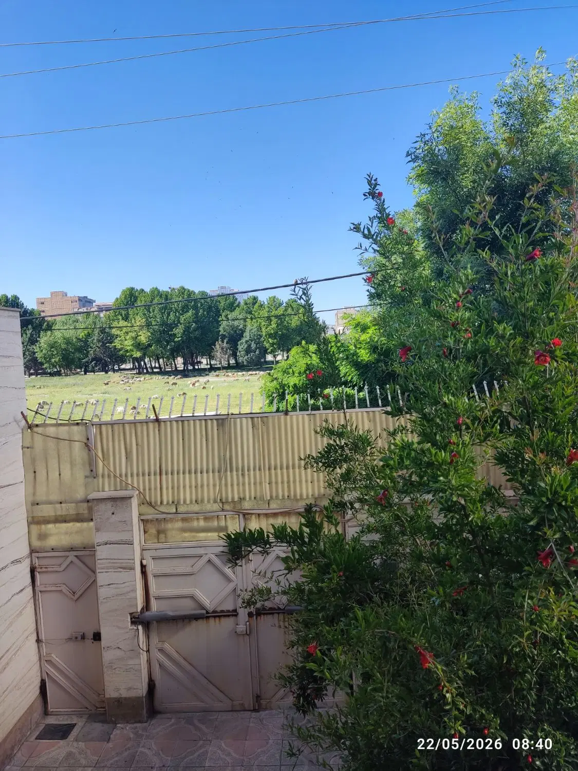 اجاره واحداپارتمانی