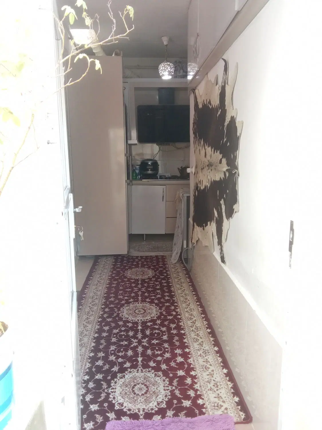 خانه نقلی