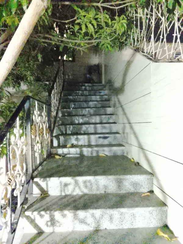 رهن کامل شهرک نبوت