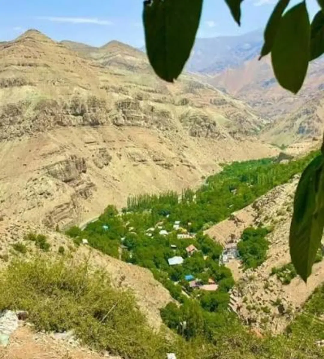 1000متر زمین کنار جاده