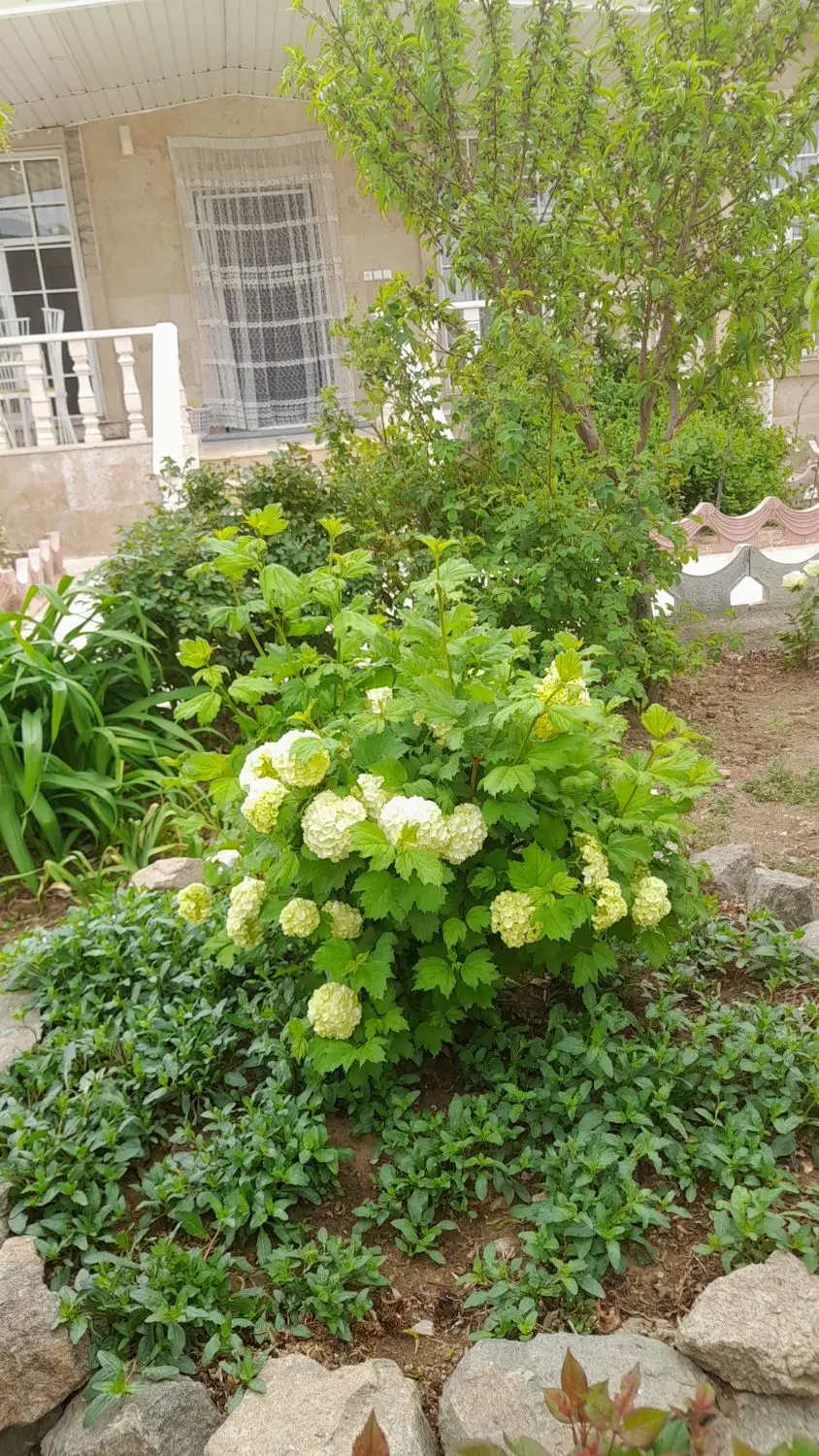 فروش زمین ۲۰۰ متری در گلریس