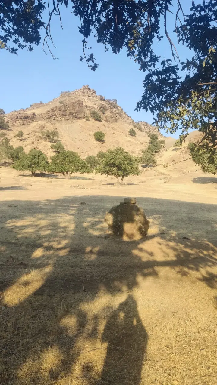زمین باغ