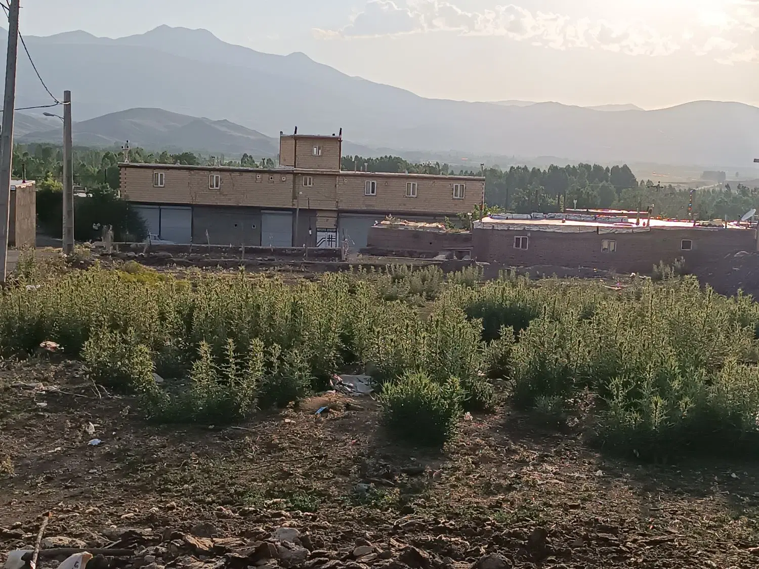زمین مسکونی در شهر زرآباد