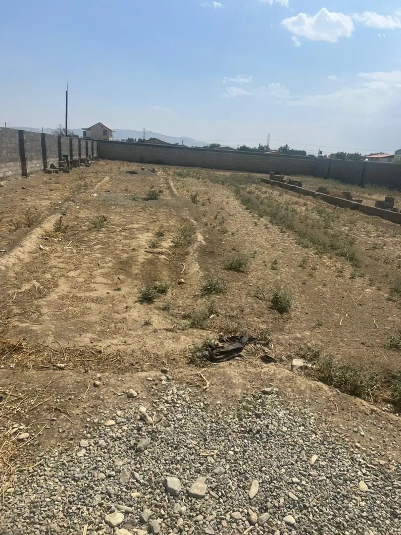 زمین