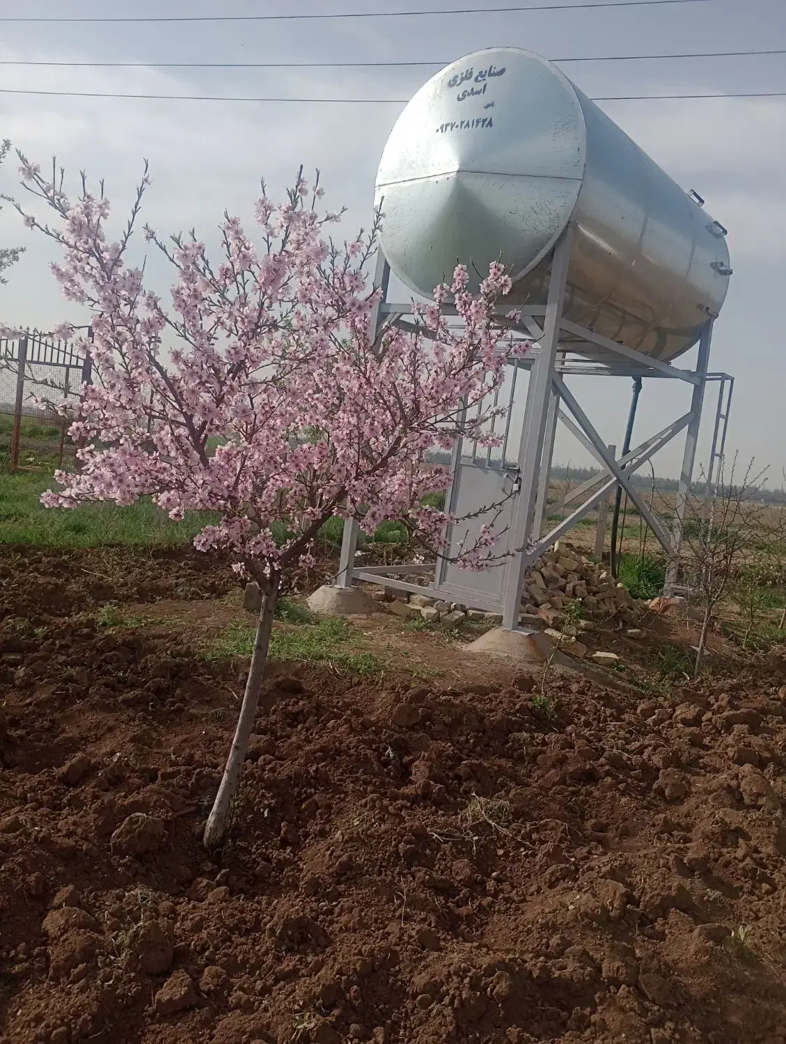 باغ  در الوند