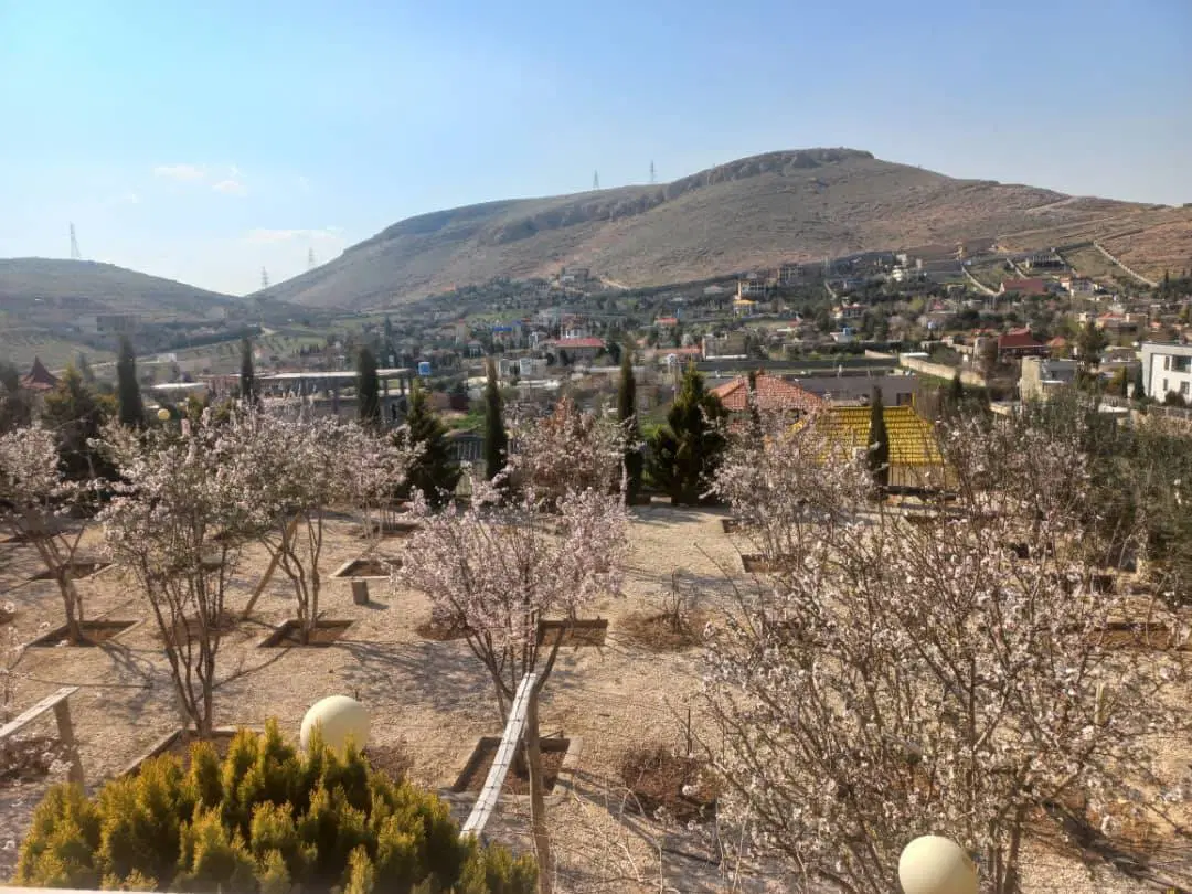 زمین شهرک گربدان