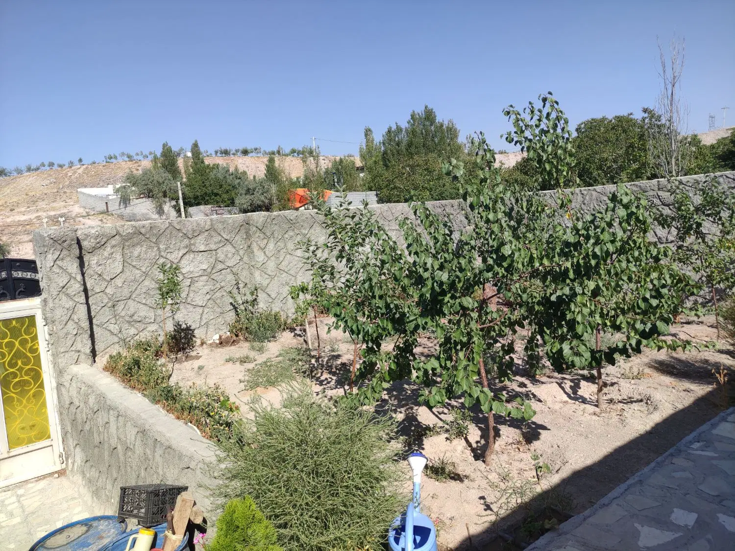 باغ در منطقه مسکونی اسکو