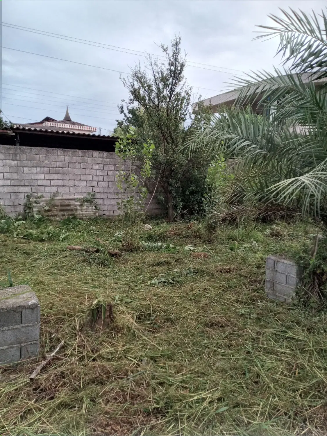 ۱۸۶ مترزمین دارای ۳۴۳ مترپروانه ساخت