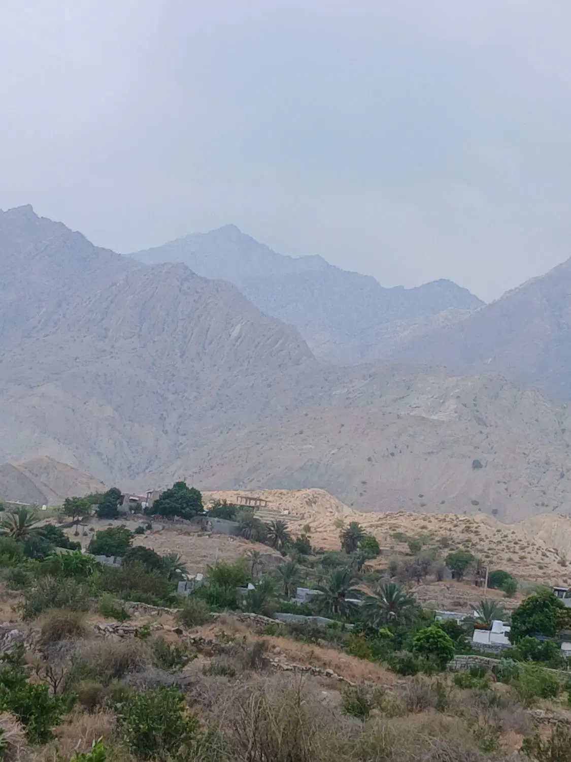 زمین باغ درسیاهو زاکین داخل محله سرخیابون