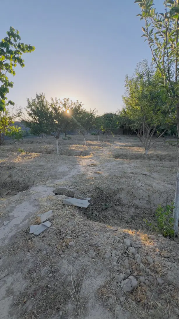 باغ چهاردیواری