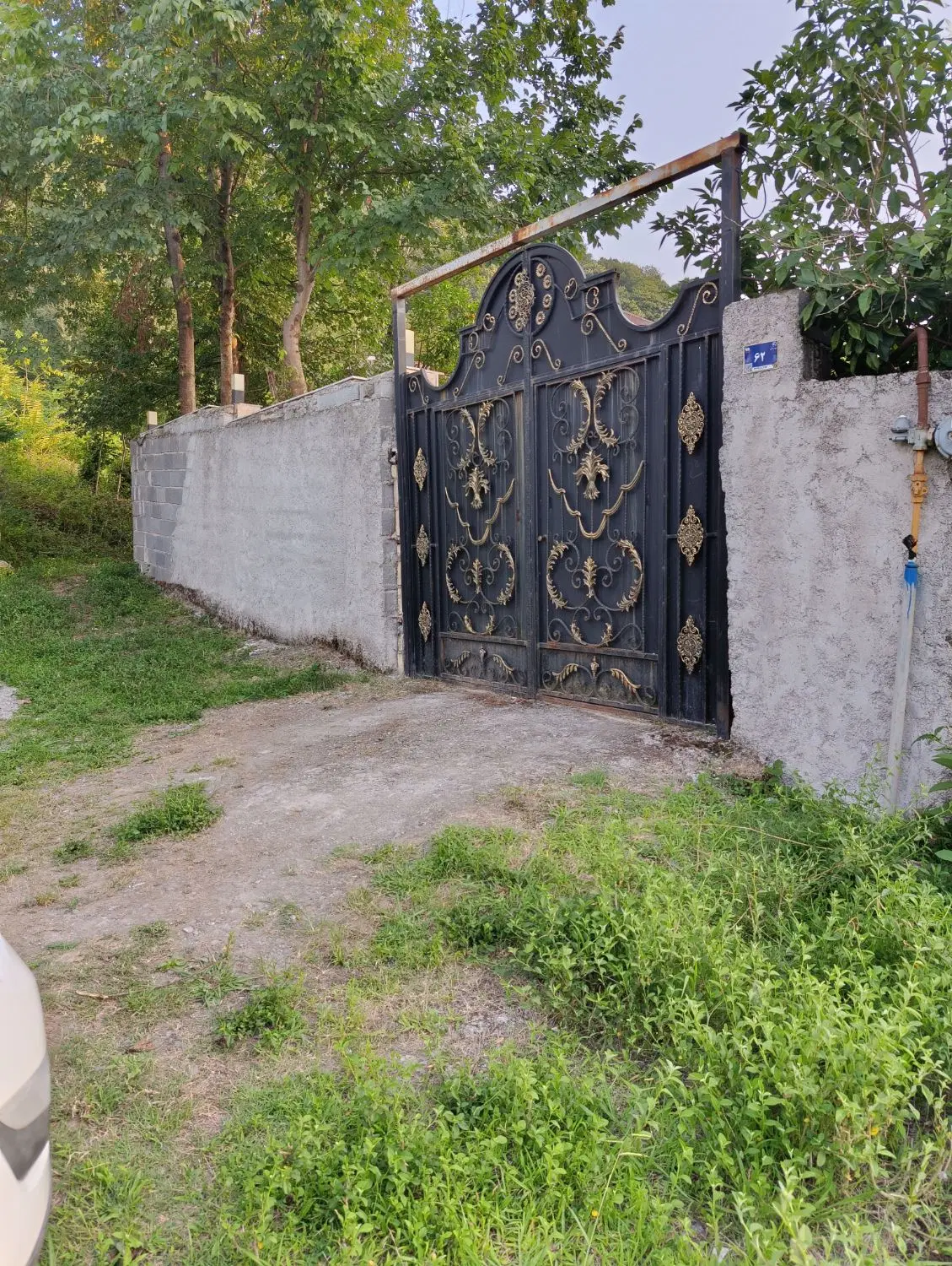 ویلا جنگلی  اجاره روزانه