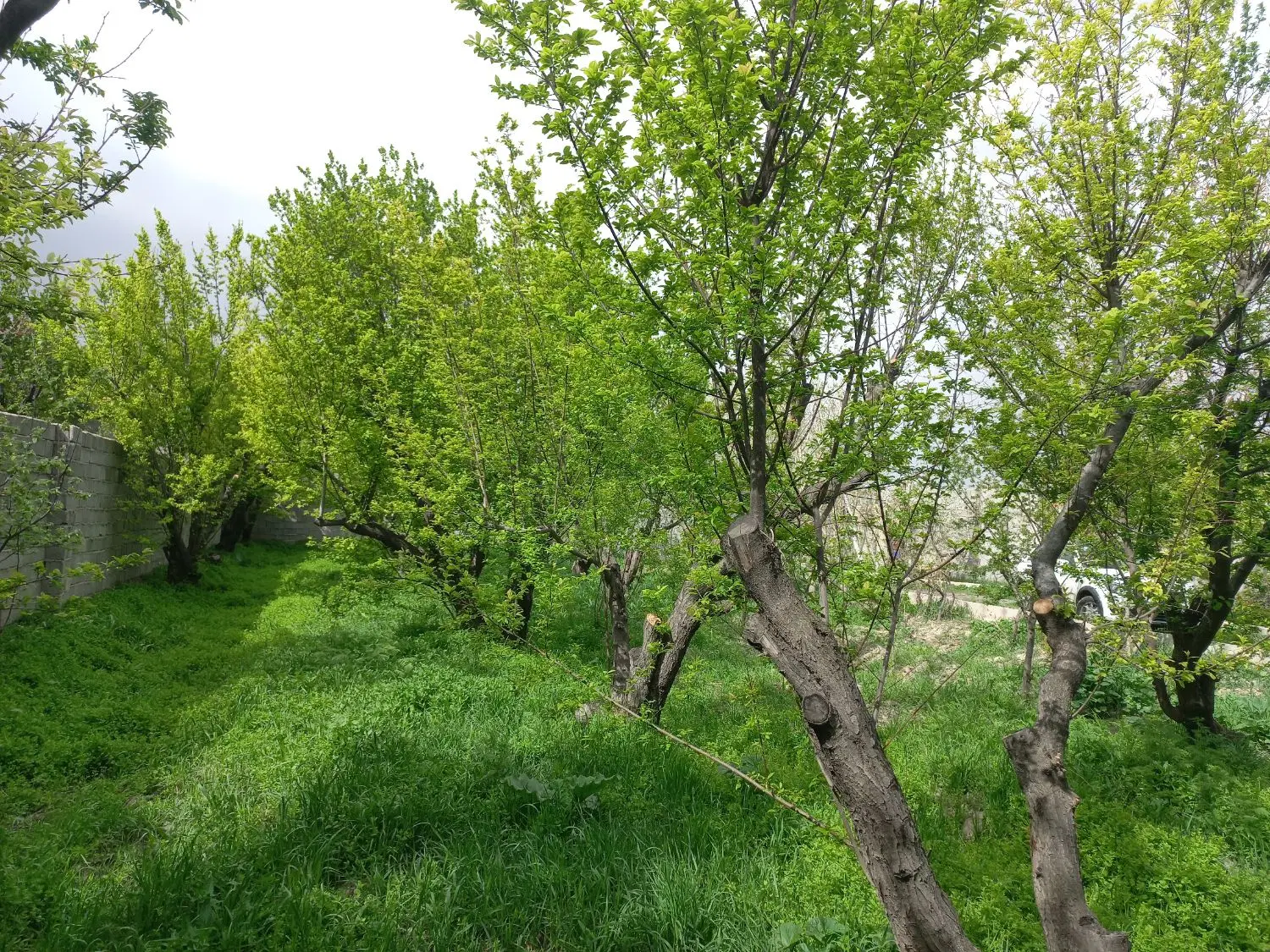 ۸۰۰ متری چهاردیواری