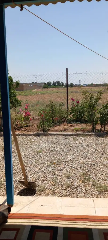زمین