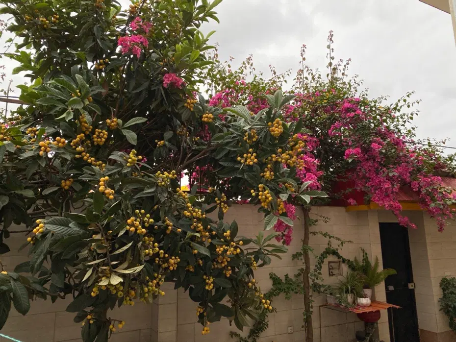 آپارتمان دو طبقه فقط یک همسایه با حیاط و پارکینگ