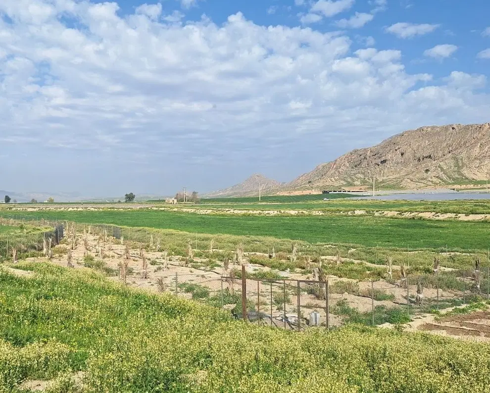 فروش  زمین مسکونی خیابان دستغیب