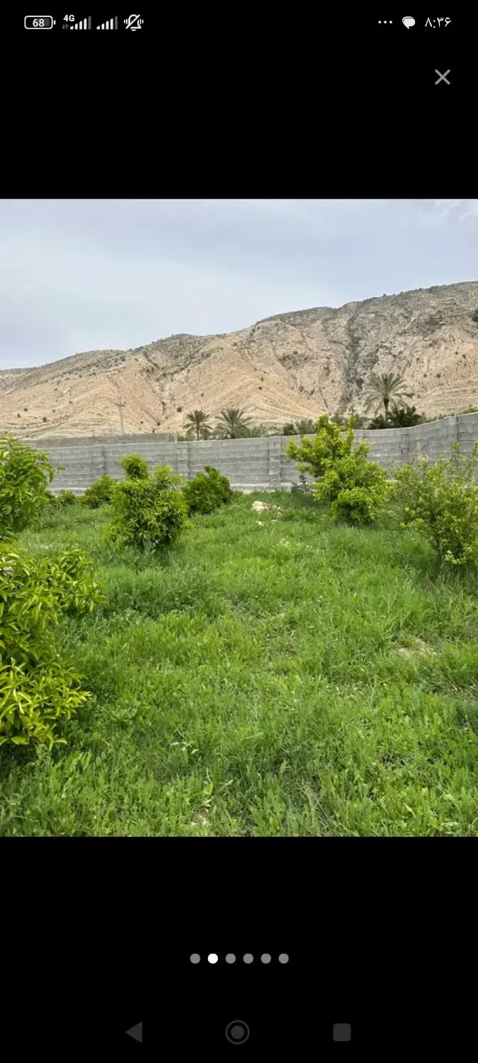 فروش زمین باغی 1000