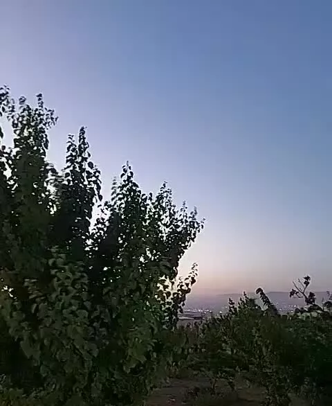 باغ به متراژ ۳۰۰۰متر مربع