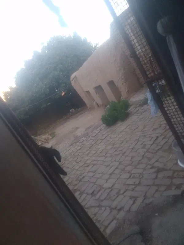 دامداری نیمه تمام برای اجاره