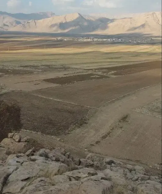 زمین تجاری بهساز