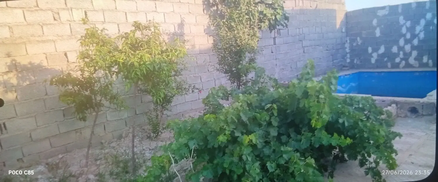باغچه نقلی قیمت مناسب