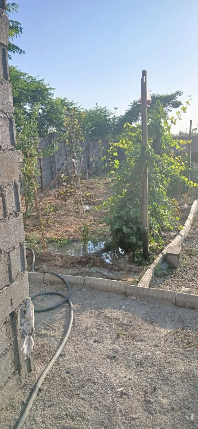 باغچه ۳۰۰ متری شهرری