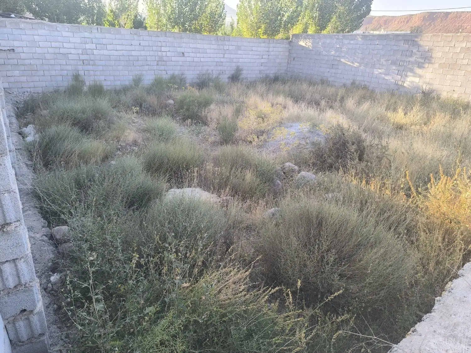 آرپادرسی