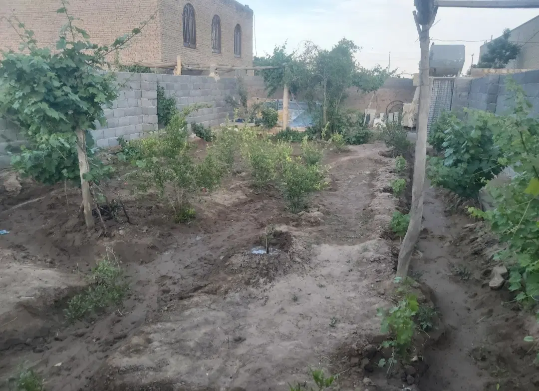 زمین باغی