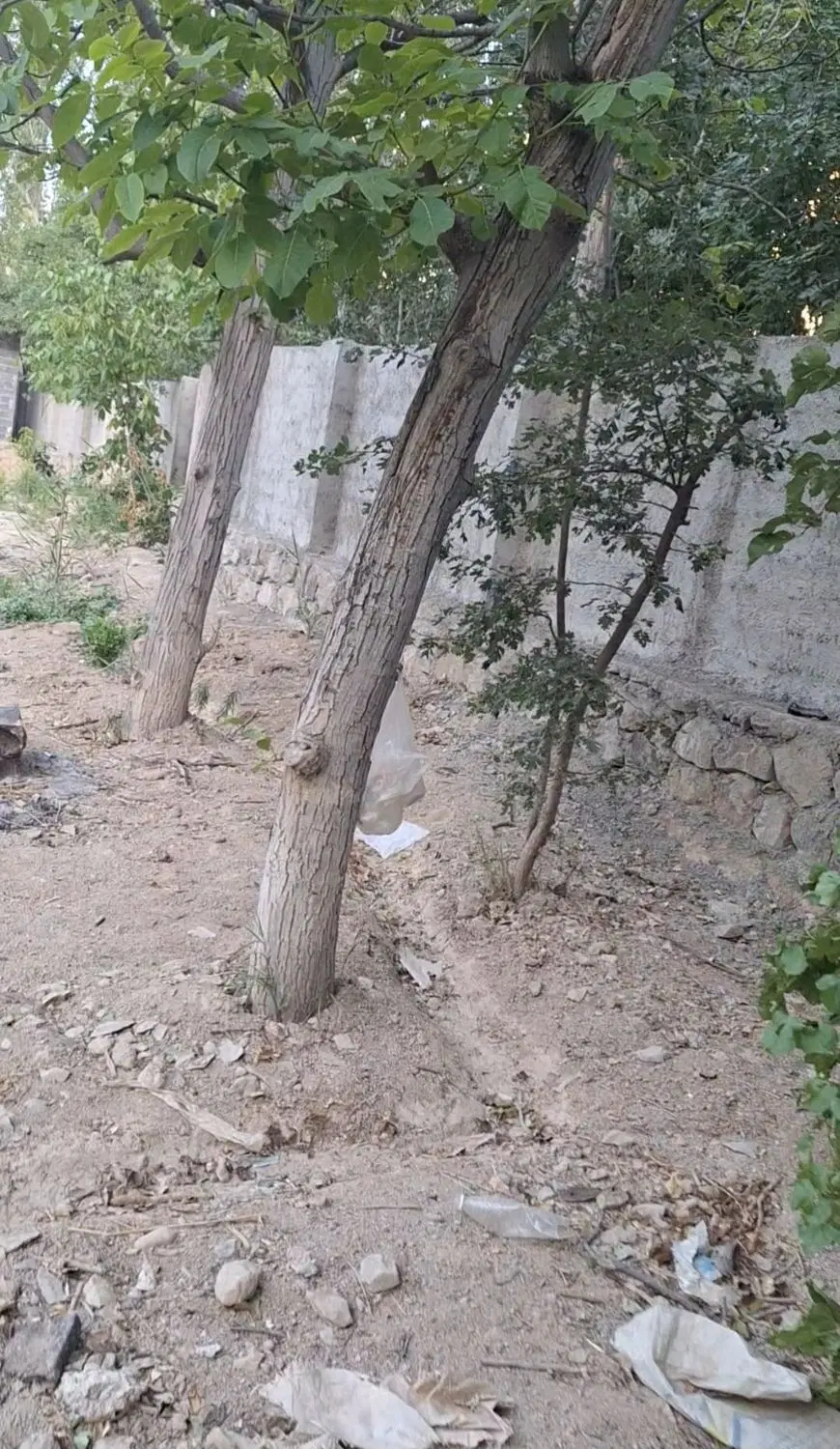 فروش خانه باغی