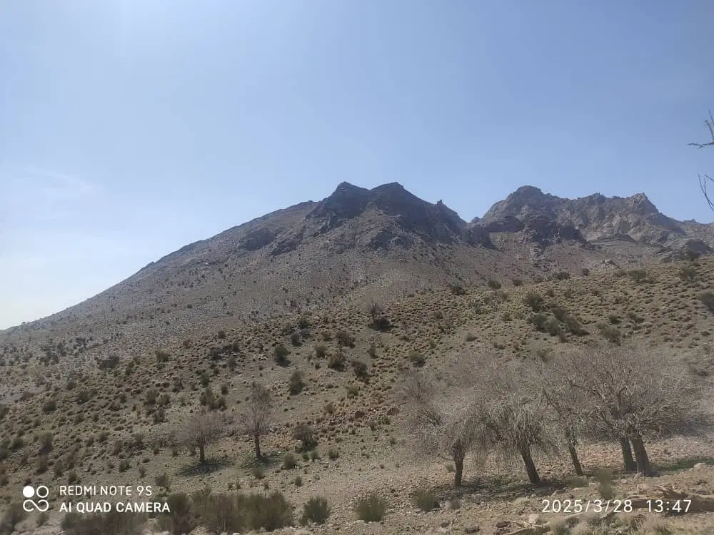 زمین شهرک سپاه