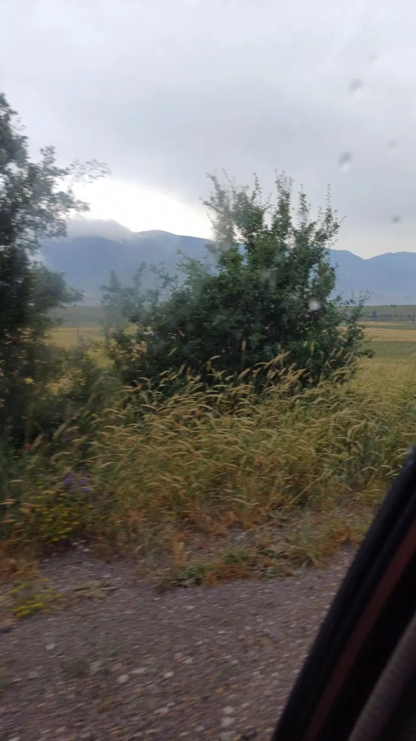 زمین واقع درکیاسر متراژ. ۶۰۰ متر