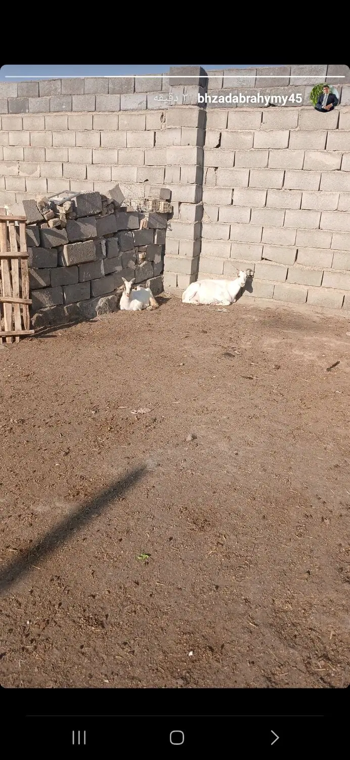 اجاره یا فروش کسی خواست