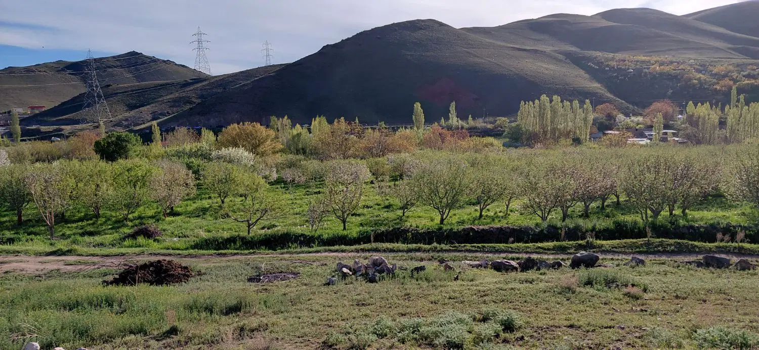 فروش باغ در روستای حسن ابدال