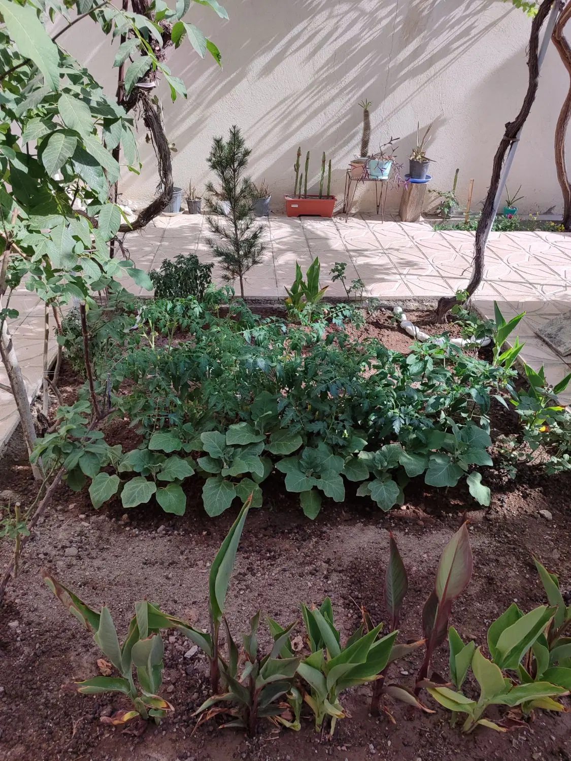 حیاط ویلایی ۱۷۰ متری در حافظ