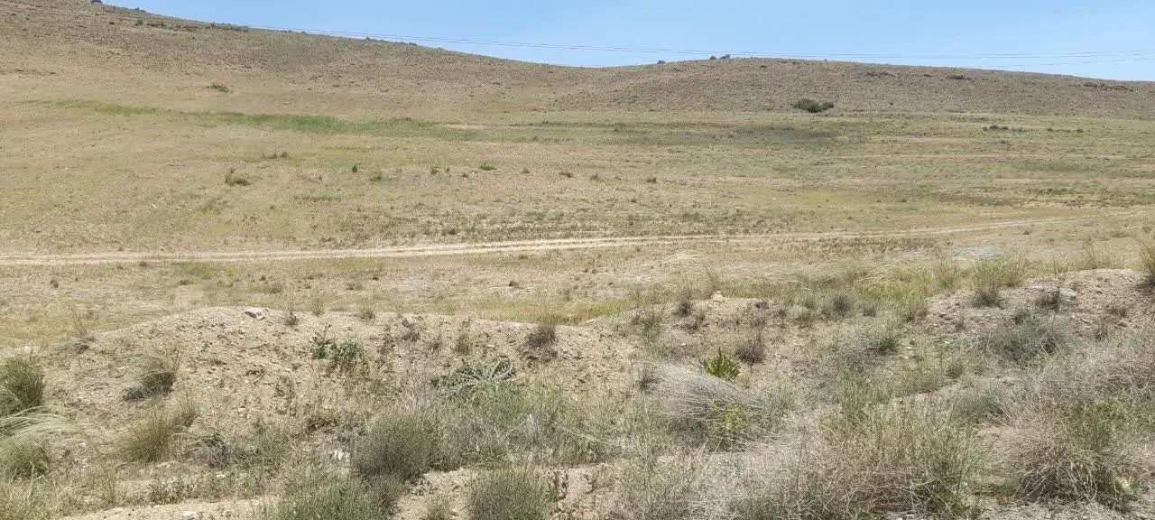 زمین کنار جاده اصلی بعدامین آباد به صورت قطعه